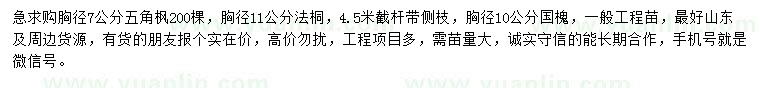 求購五角楓、法桐、國槐