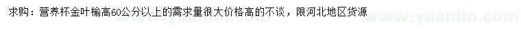 求購(gòu)高60公分以上金葉榆