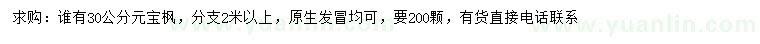 求購30公分元寶楓