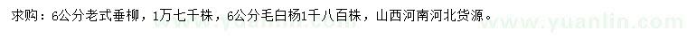 求購(gòu)6公分老式垂柳、毛白楊