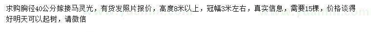 求購胸徑40公分嫁接馬靈光