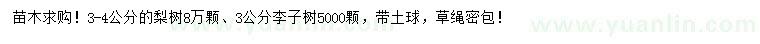 求購(gòu)3-4公分梨樹(shù)、3公分李子樹(shù)