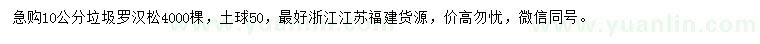 求購10公分垃圾羅漢松