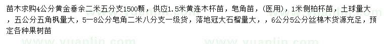 求購黃金垂、黃連木、皂角苗等