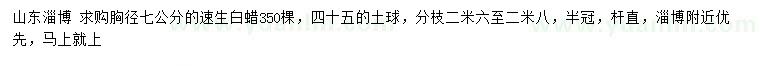 求購(gòu)胸徑7公分速生白蠟