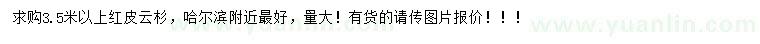 求購(gòu)3.5米以上紅皮云杉