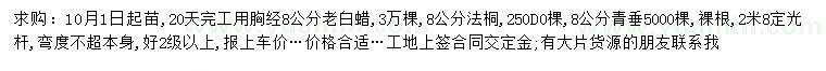 求購老白蠟、法桐、青垂等