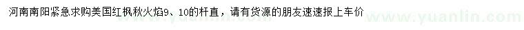 求購9、10公分美國紅楓秋火焰