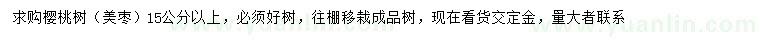 求購15公分以上櫻桃樹（美棗）