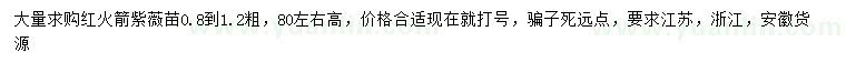 求購高80公分左右紅火箭紫薇