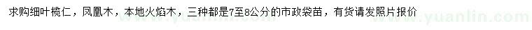 求購細葉欖仁、鳳凰木、本地火焰木