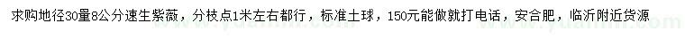 求購地徑30量8公分速生紫薇