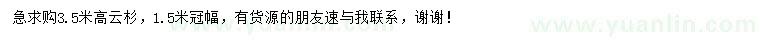求購(gòu)高3.5米云杉