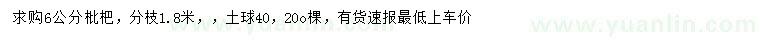 求購6公分枇杷
