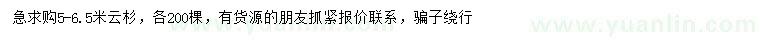 求購5-6.5米云杉
