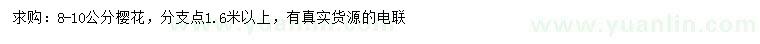 求購8-10公分櫻花