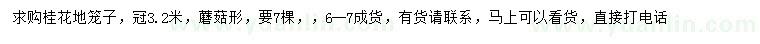 求購(gòu)冠幅3.2米桂花