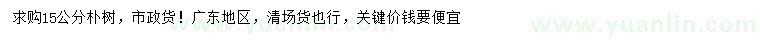 求購15公分樸樹