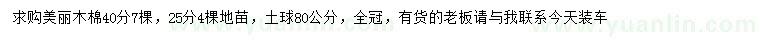 求購(gòu)25、40公分美麗木棉