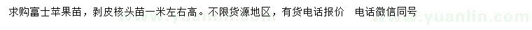 求購高1米左右富士蘋果苗