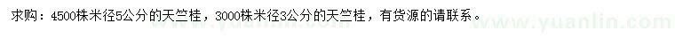 求購米徑3、5公分天竺桂