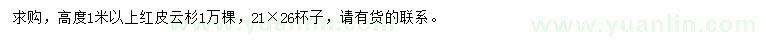 求購高度1米以上紅皮云杉
