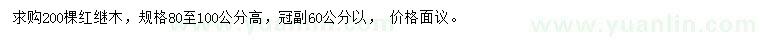 求購80-100公分紅繼木