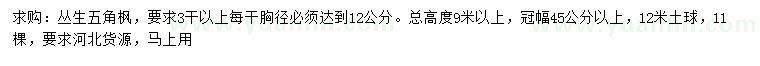 求購(gòu)冠幅45公分以上叢生五角楓