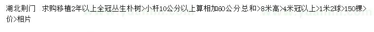 求購高度8米叢生樸樹