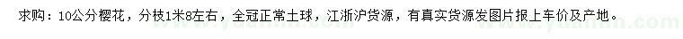 求購10公分櫻花