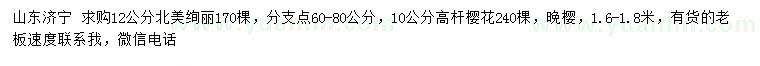 求購12公分北美絢麗、10公分高桿櫻花