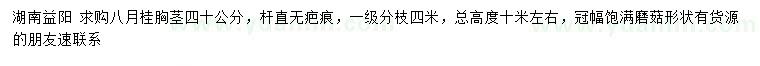 求購胸徑40公分八月桂