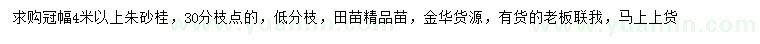 求購冠幅4米以上朱砂桂