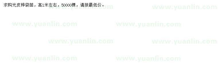 求購(gòu)高1米光皮樺