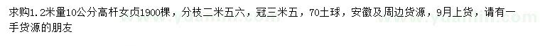 求購1.2米量10公分高桿女貞