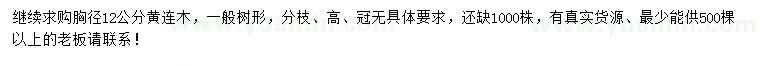 求購胸徑12公分黃連木