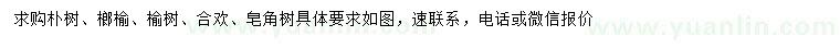 求購樸樹、榔榆、榆樹等