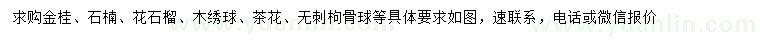 求購金桂、石楠、花石榴等