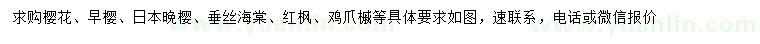 求購(gòu)櫻花、早櫻、日本晚櫻等