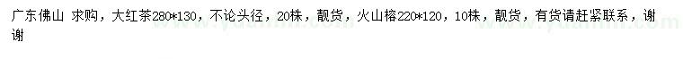 求購(gòu)280*130大紅茶、220*120火山榕