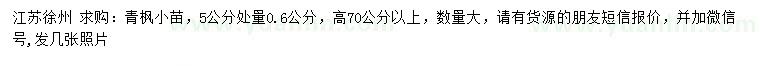 求購(gòu)5公分處量0.6公分青楓小苗