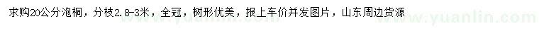 求購20公分泡桐