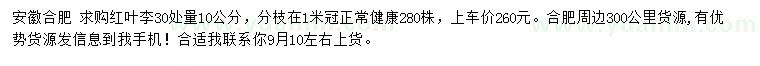 求購(gòu)30處量10公分紅葉李