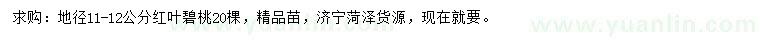 求購地徑11-12公分紅葉碧桃
