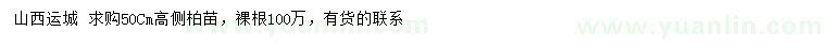 求購高50公分側(cè)柏苗
