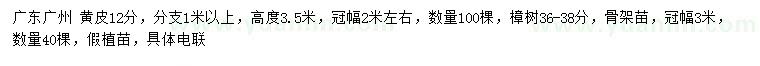 求購12公分黃皮、36-38公分樟樹