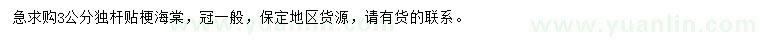 求購3公分獨桿貼梗海棠