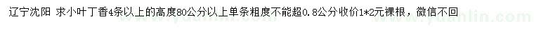 求購高度80公分以上小葉丁香