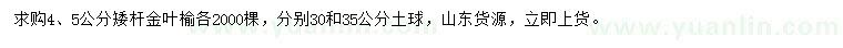 求購4、5公分矮桿金葉榆