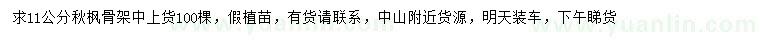 求購11公分秋楓